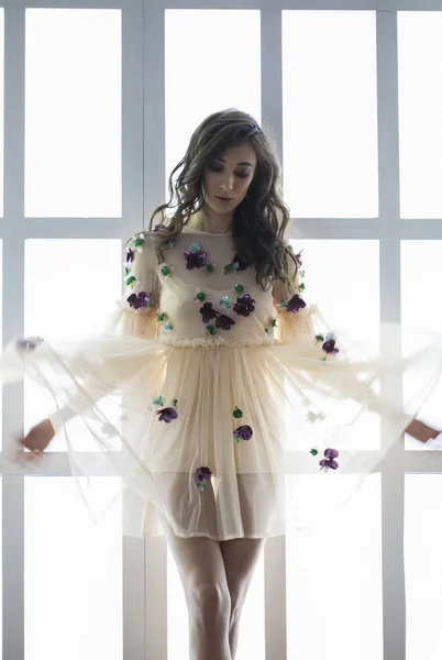 Retrato de una joven hermosa en un vestido — Foto de Stock