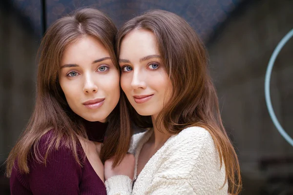 Dos mujeres jóvenes morenas, en interiores — Foto de Stock