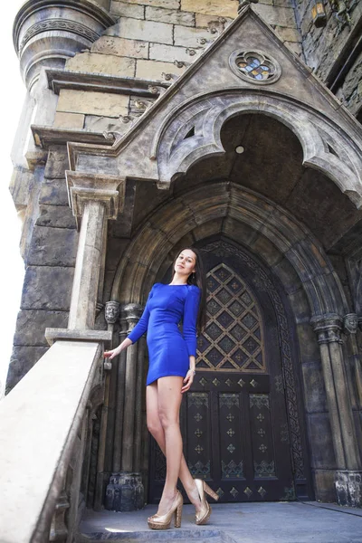 Portret jonge mooie brunette vrouw in blauwe jurk poseren Aga — Stockfoto