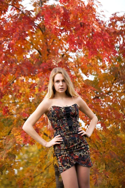 ドレスの美しい若い女性の肖像画 — ストック写真