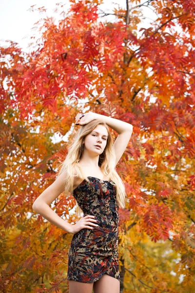 Retrato de una hermosa joven en vestido —  Fotos de Stock