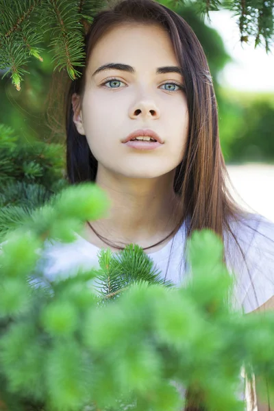 Portrait of a young beautiful woman in the foliage of spruce — Stock Photo, Image