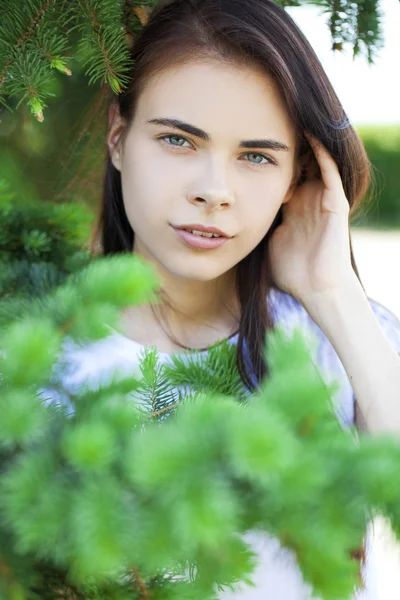 Portrait of a young beautiful woman in the foliage of spruce — Stock Photo, Image