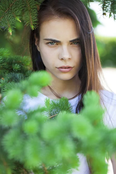 Portrait of a young beautiful woman in the foliage of spruce — Stock Photo, Image