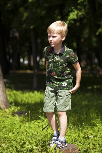 Portrait of a young blonde boy — Stock Photo, Image