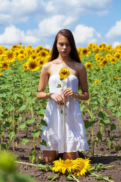 Porträtt av en ung vacker flicka i ett fält av solrosor — Stockfoto