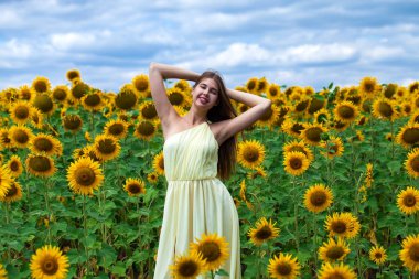 Ayçiçeği tarlasında genç ve güzel bir kızın portresi