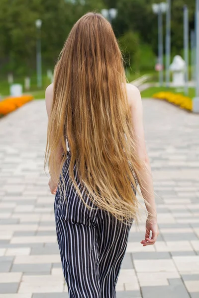 Cabelo feminino de volta beleza — Fotografia de Stock