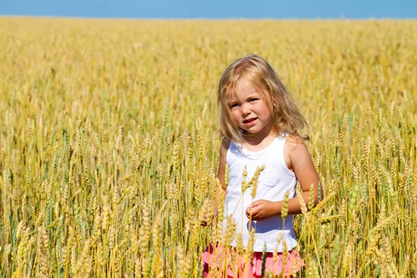 Bir buğday altın alanda küçük kız — Stok fotoğraf