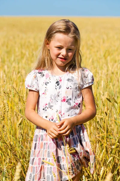 Little girl in a wheat golden field — Stock Photo, Image