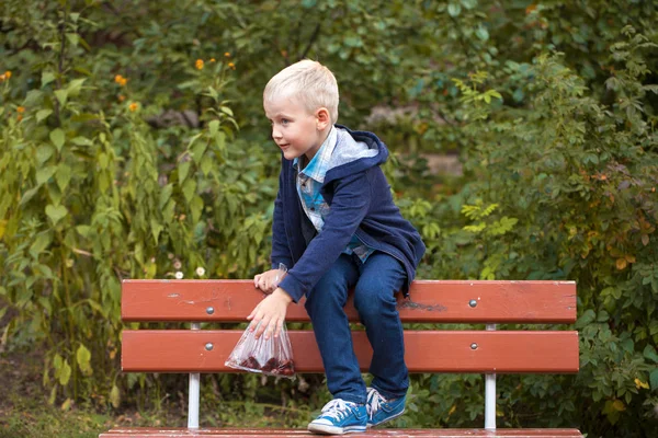 Liten blond pojke, sommarpark utomhus — Stockfoto