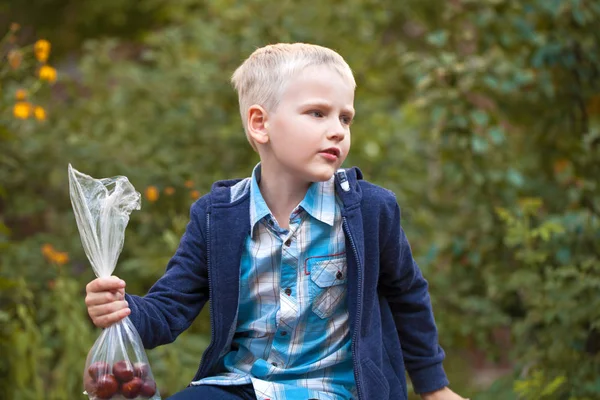 Little blonde boy, summer park outdoors — Stock Photo, Image