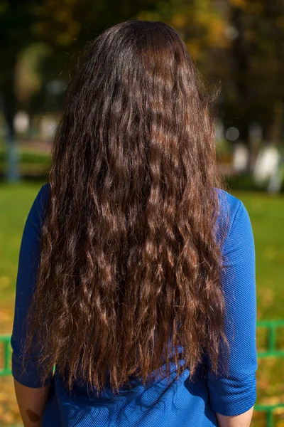 Vrouwelijk brunette haar, achteruitkijk, zomerpark — Stockfoto