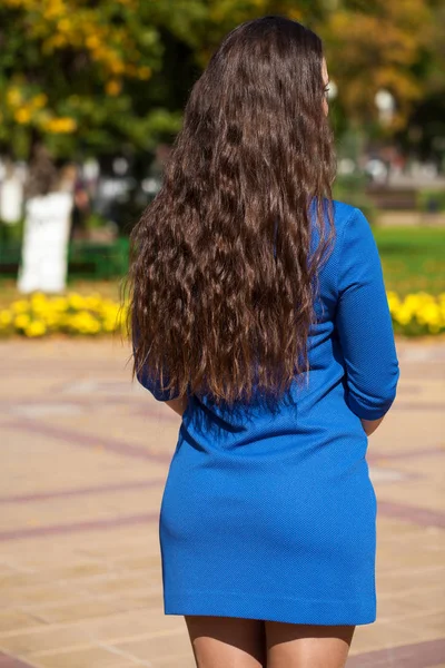 Female brunette hair, rear view, summer park — Stock Photo, Image