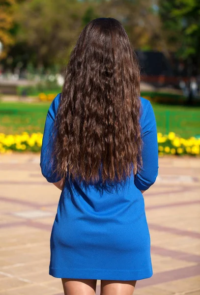 女性黑发, 后视, 夏季公园 — 图库照片