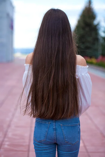 Back view female brunette hair — Stock Photo, Image