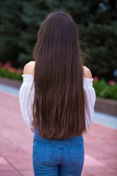 Back view female brunette hair — Stock Photo, Image
