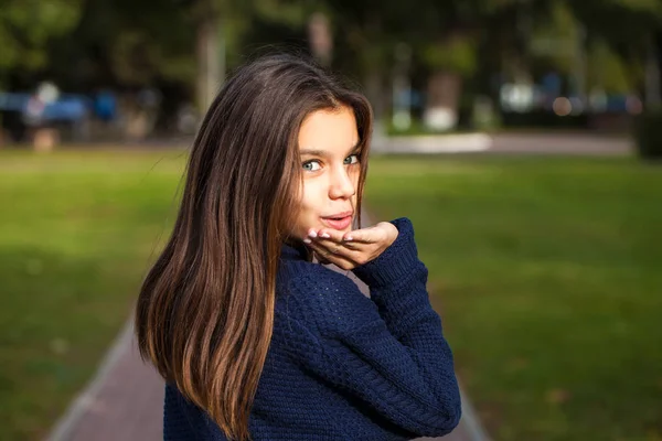 Flot brunette lille pige poserer i efteråret park baggrund - Stock-foto