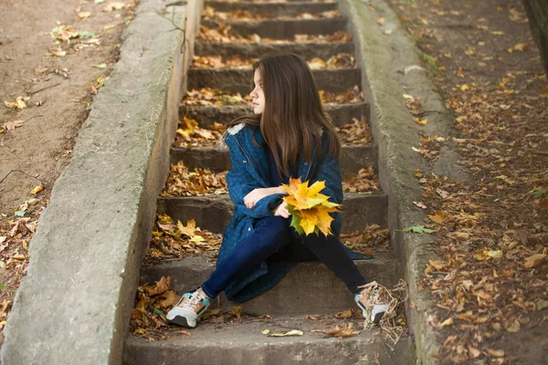 Pretty brunette little girl posing in autumn park background — Stock Photo, Image