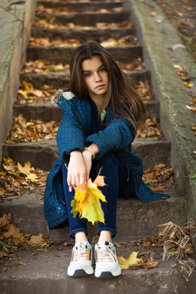 Bella bruna bambina in posa in autunno parco sfondo — Foto Stock