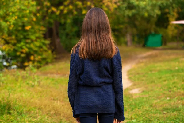 Voltar vista cabelo morena menina posando no parque de outono — Fotografia de Stock