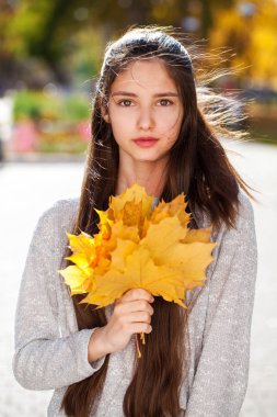 Sarı akçaağaç yapraklı güzel bir kızın portresi. 