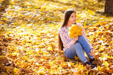 Sarı akçaağaç yapraklı güzel bir kızın portresi. 