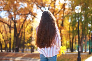 Sonbahar parkta poz geri görünümü saç esmer kız 