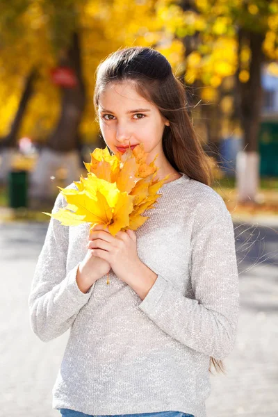 Ritratto di una giovane bella ragazza con foglie d'acero gialle — Foto Stock