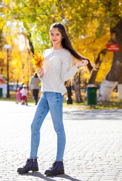 Linda niña morena posando en el fondo del parque de otoño —  Fotos de Stock