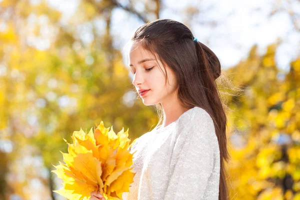 Retrato de una joven hermosa con hojas de arce amarillo —  Fotos de Stock