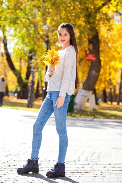 Pretty brunette little girl posing in autumn park background — Stock Photo, Image