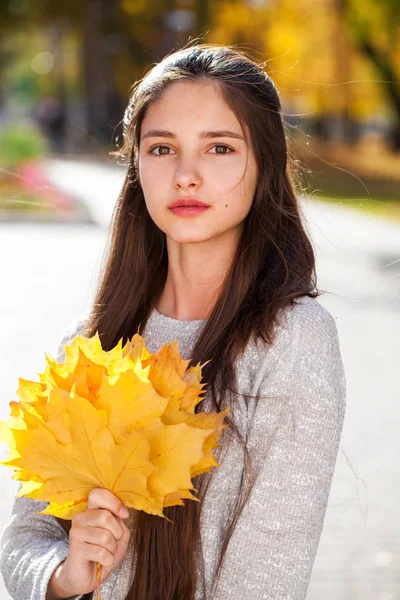 Retrato de una joven hermosa con hojas de arce amarillo —  Fotos de Stock