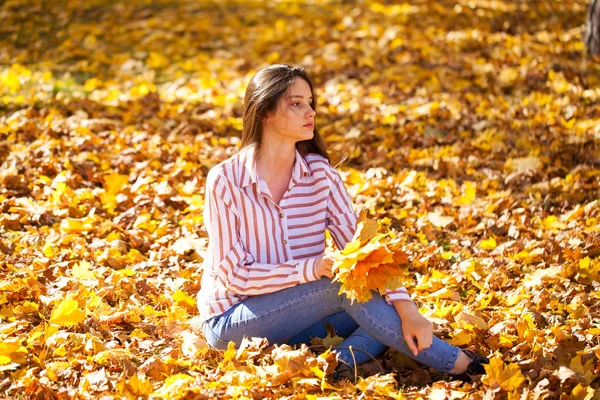 Portrait d'une jeune belle fille aux feuilles d'érable jaunes — Photo