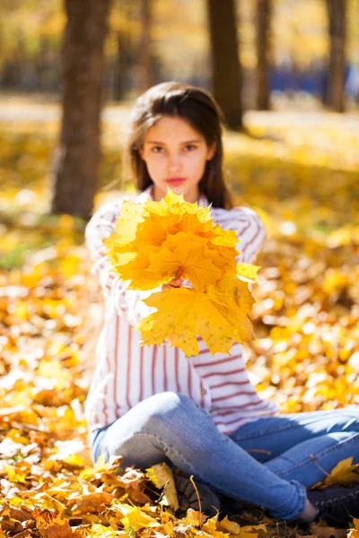 一个黄枫叶的年轻漂亮姑娘的画像 — 图库照片