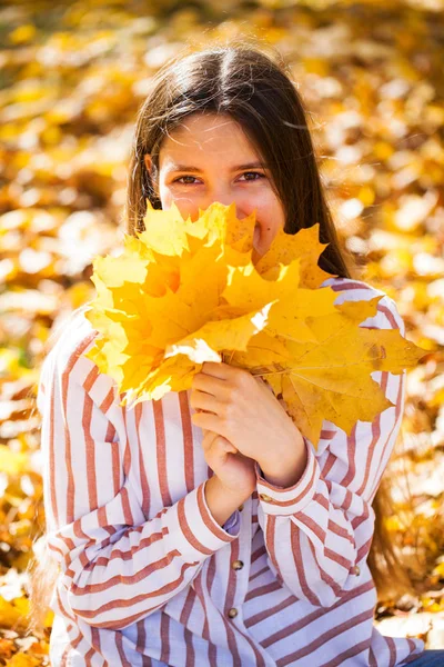 秋の公園の背景でポーズかなりブルネットの小さな女の子 — ストック写真