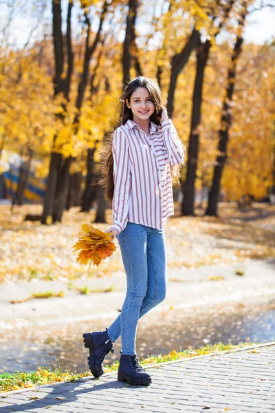 Jolie petite fille brune posant en arrière-plan de parc d'automne — Photo