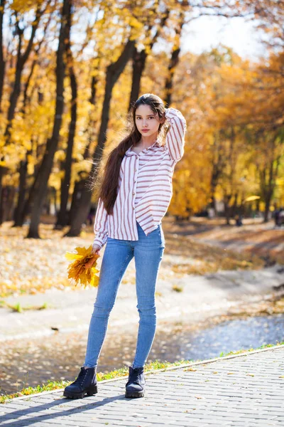 Красивая брюнетка маленькая девочка позирует на фоне осеннего парка — стоковое фото