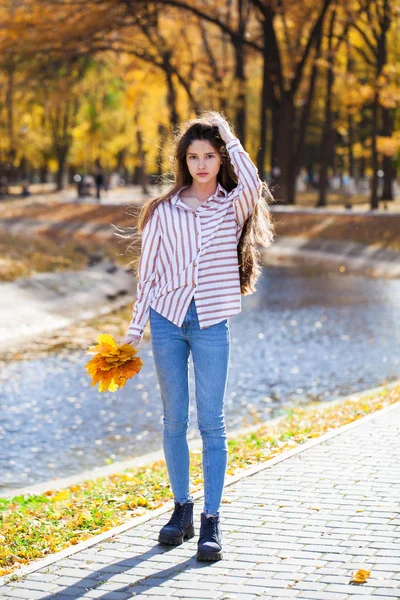 Jolie petite fille brune posant en arrière-plan de parc d'automne — Photo