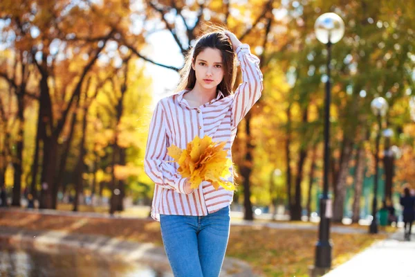 Jolie petite fille brune posant en arrière-plan de parc d'automne — Photo