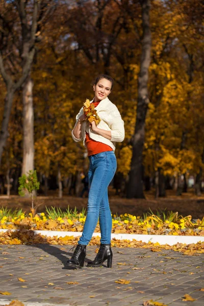 Young beautiful woman in blue jeans posing in autumn park — Stock Photo, Image