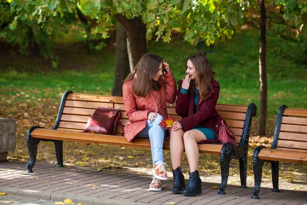 Sonbahar parkında bir bankta dinlenen iki güzel kız. — Stok fotoğraf