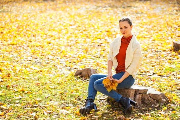 가을 공원 과 함께 포즈를 취하는 아름다운 여성 — 스톡 사진
