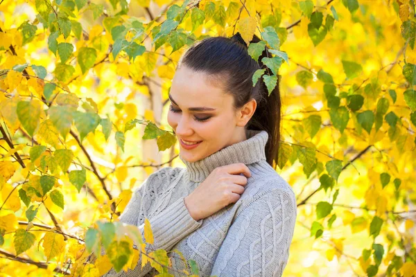 秋天的背景下，穿着灰色毛衣的快乐的黑发女人 — 图库照片