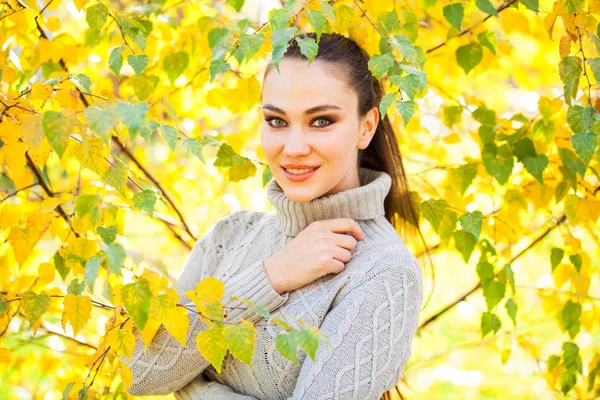 Glückliche brünette Frau in einem grauen Pullover vor einem herbstlichen Hintergrund — Stockfoto