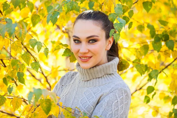Šťastná brunetka žena v šedém svetru na pozadí podzimu — Stock fotografie