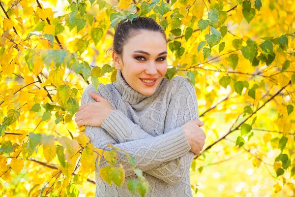 Mulher morena feliz em uma camisola cinza em um fundo de outono — Fotografia de Stock
