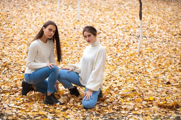 Två flickvänner i vit ylletröja och blå jeans — Stockfoto