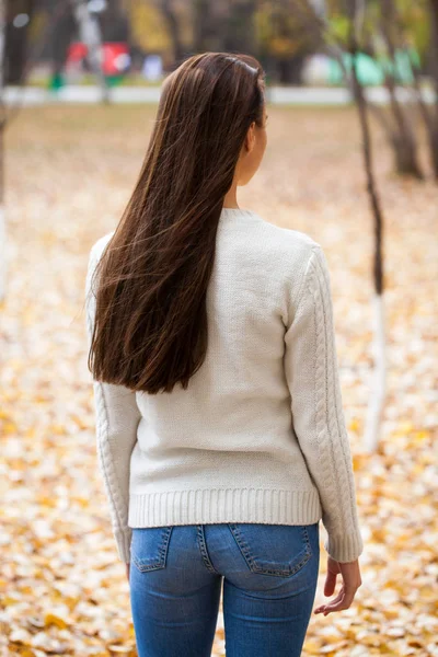 Morena, Modelo de beleza de cabelo — Fotografia de Stock