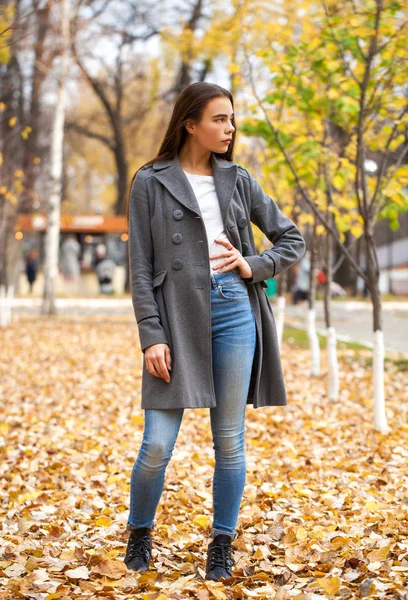 Retrato de una joven hermosa niña en jeans azules y abrigo gris — Foto de Stock